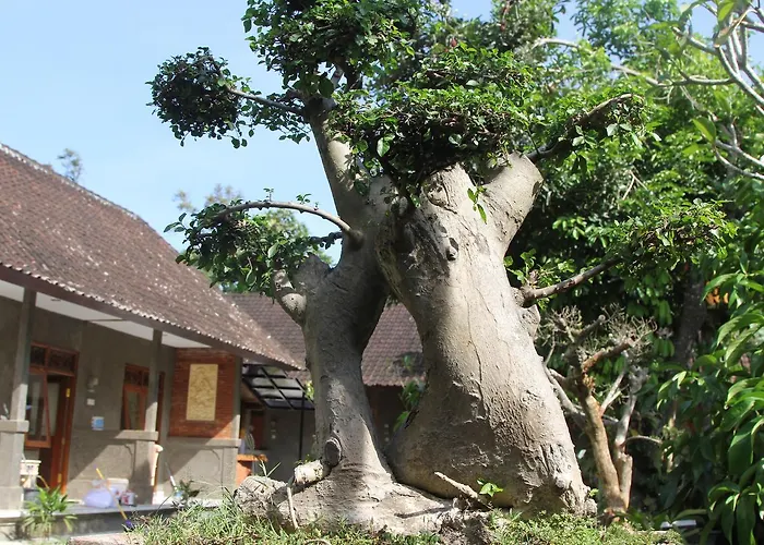 Jerogadung House Gasthof 3*
